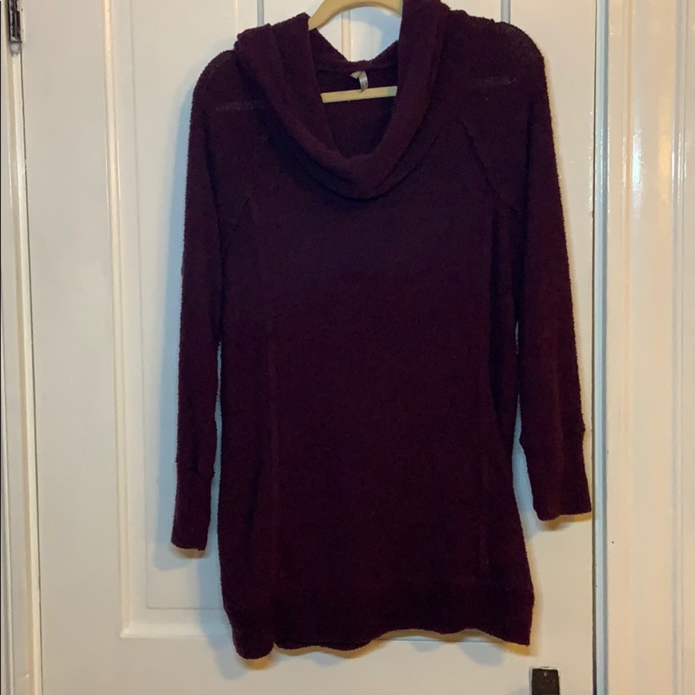 Vanity Deep Purple Hooded Sweater
